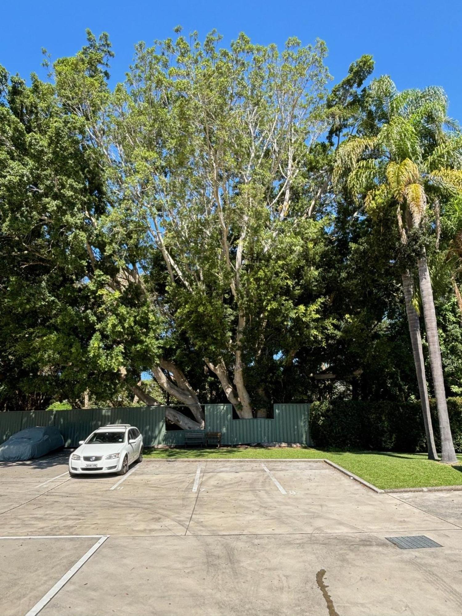 Time And Tide Hotel Motel Deewhy Экстерьер фото
